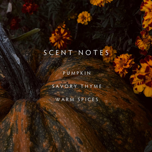 Linnea HARVEST PUMPKIN