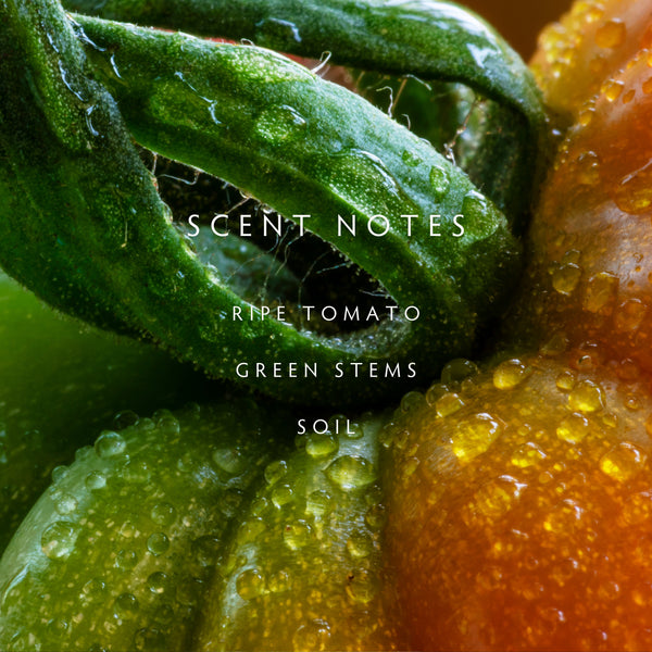 Linnea Heirloom Tomato Reed Diffuser Kit