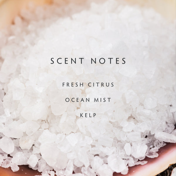 Linnea Sea Salt Petite 2-wick Candle - A Bestselling Scent