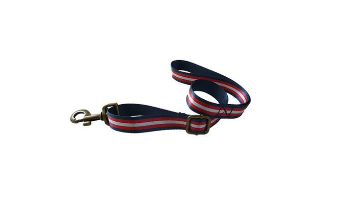 Linus Basket Pet Tether With Cushion | Linus Bike