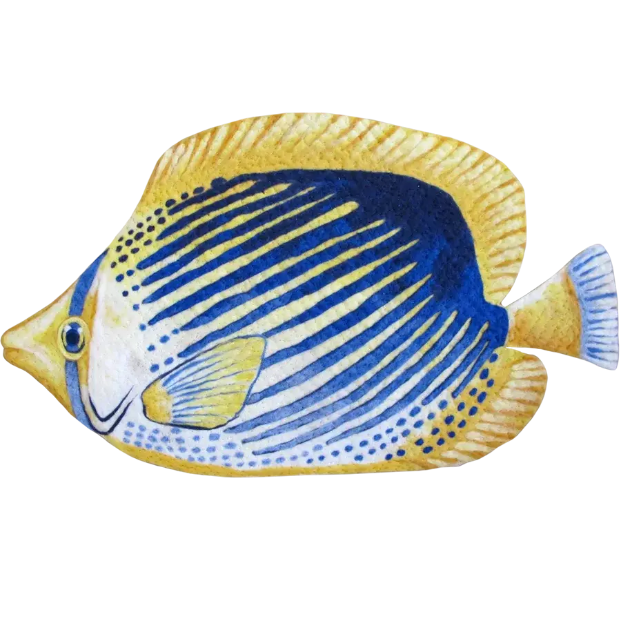 liora manne Angelfish Blue Yellow