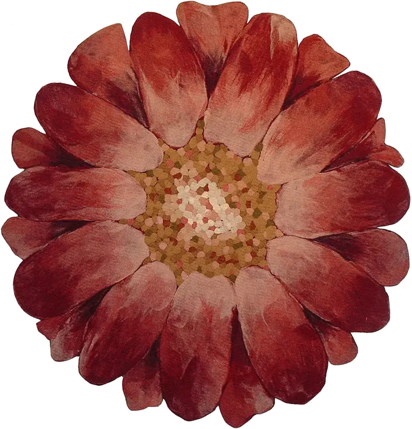 Liora Manne Aster