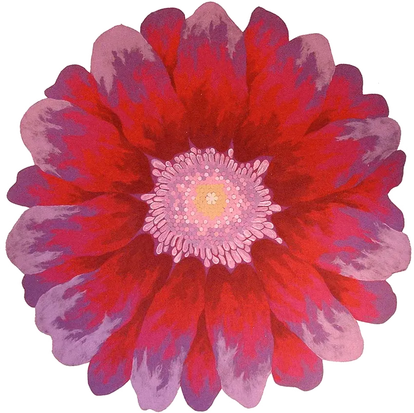 Liora Manne Aster