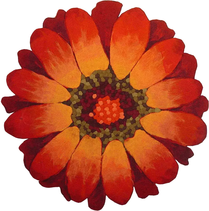 Liora Manne Aster