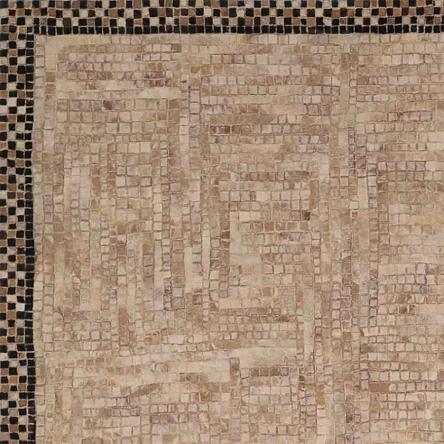 liora manne Checker Border