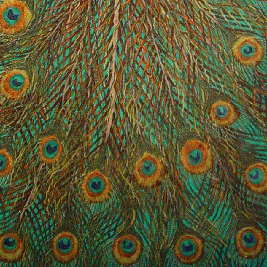 liora manne Feathers