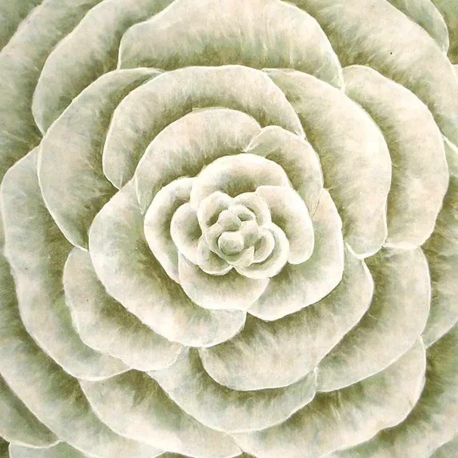 liora manne Gardenia