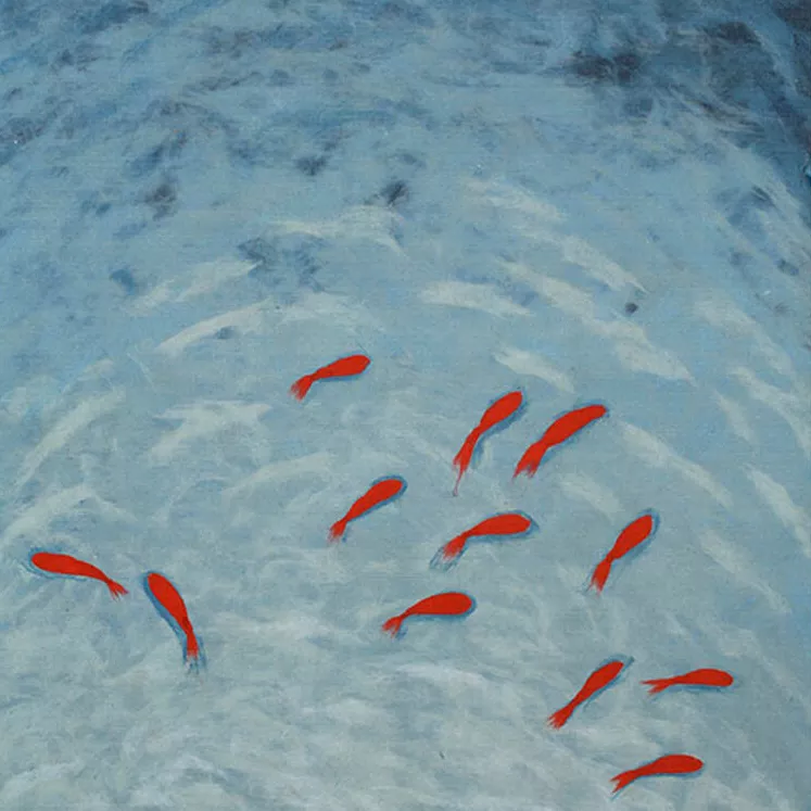 Liora Manne Goldfish