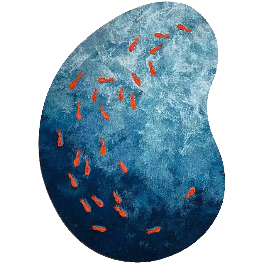 liora manne Goldfish