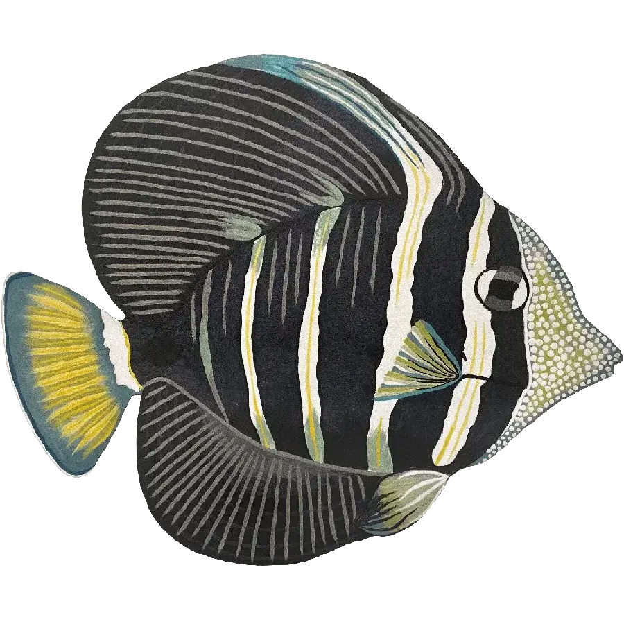 liora manne Sailfin Tang Charcoal