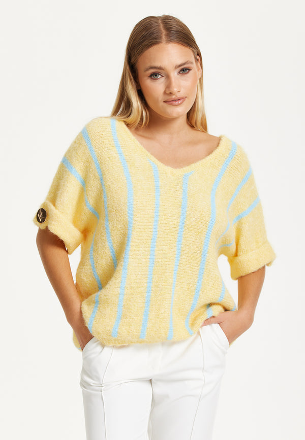 Liquorish Yellow And Blue Striped Knit Top