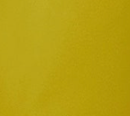 Liquorish Women's Trousers In Pistachio With Tie Waist Side Pockets And Pleated Detail - Liquorish