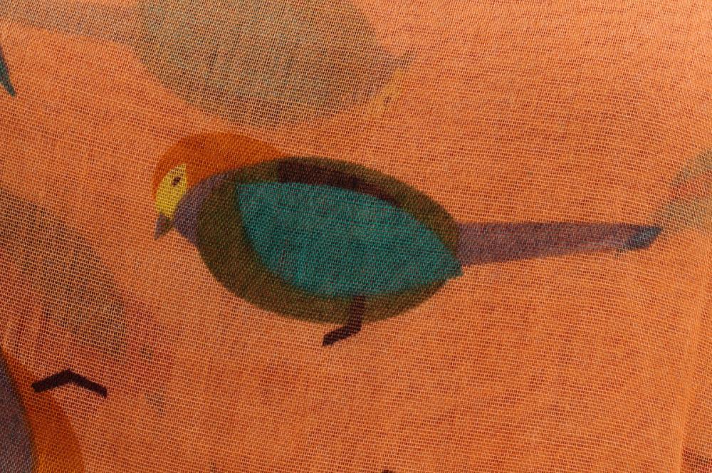 Liss Kiss Colourful Birds On Peach With Navy Blue Edge Unisex Scarf & Beach Sarong - Scarf