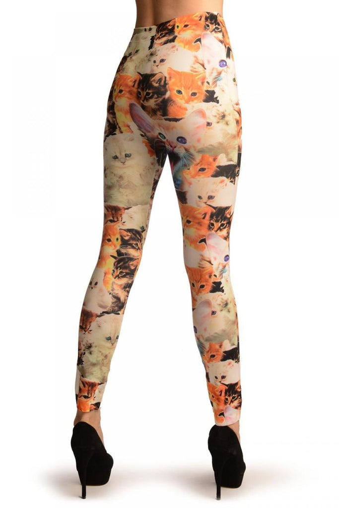Liss Kiss Cute Kittens Collage On White Leggings - Leggings