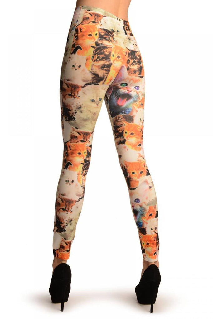 Liss Kiss Cute Kittens Collage On White Leggings - Leggings