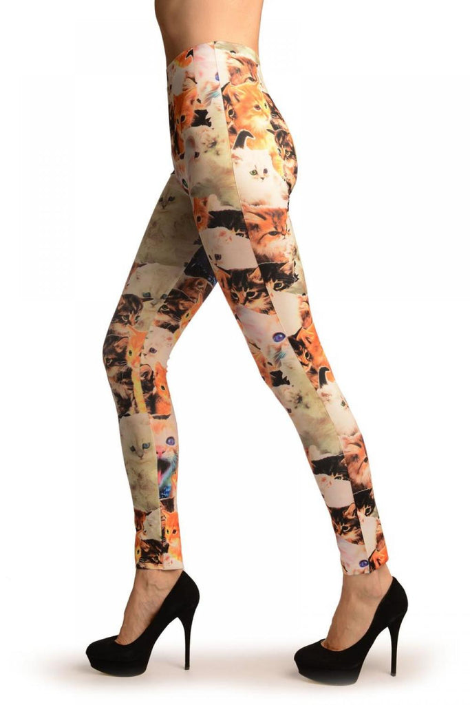 Liss Kiss Cute Kittens Collage On White Leggings - Leggings