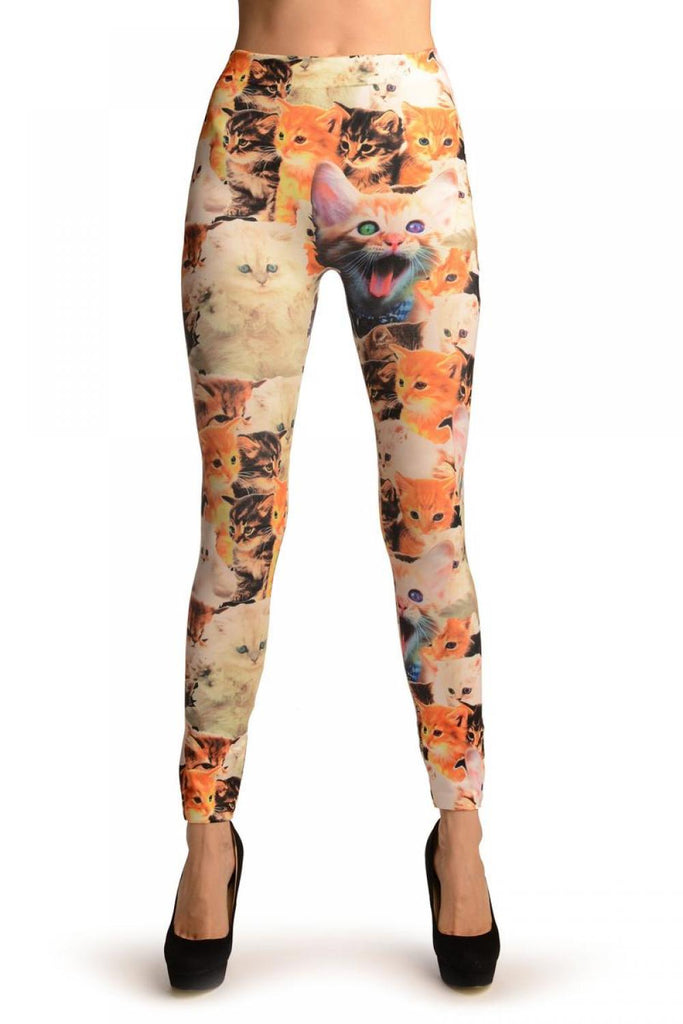 liss kiss Cute Kittens Collage On White Leggings - Leggings