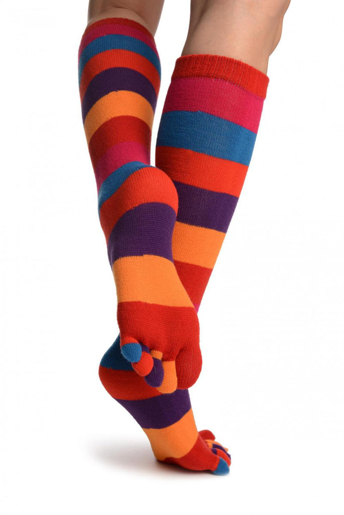 Liss Kiss Rainbow Stripes Knee High Toe Socks - Socks