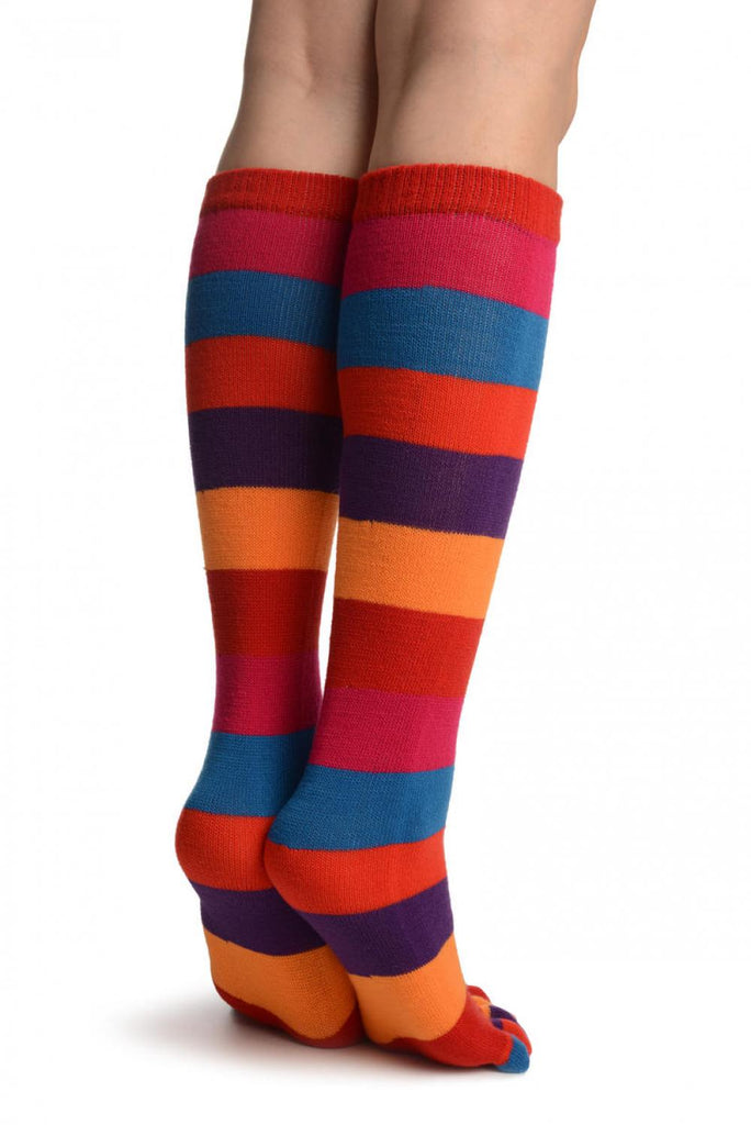 Liss Kiss Rainbow Stripes Knee High Toe Socks - Socks