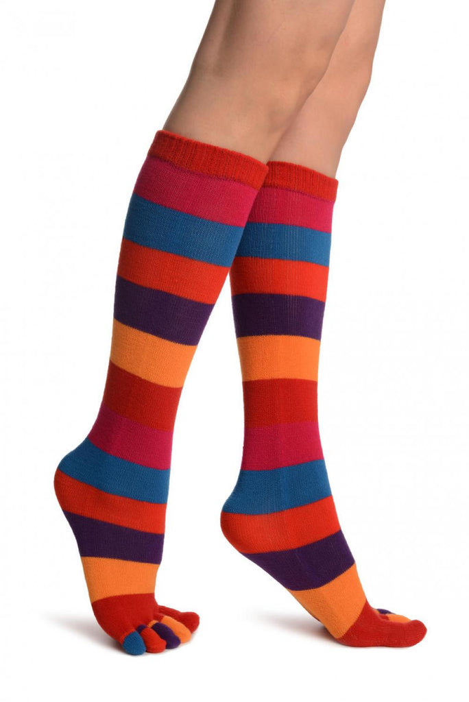 Liss Kiss Rainbow Stripes Knee High Toe Socks - Socks