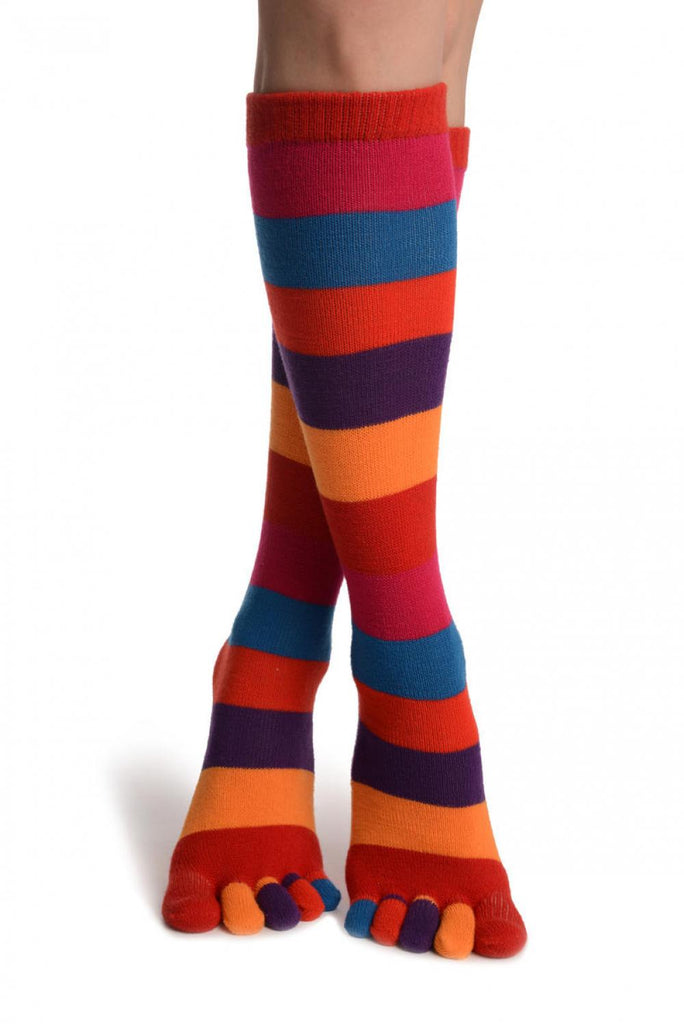 Liss Kiss Rainbow Stripes Knee High Toe Socks - Socks