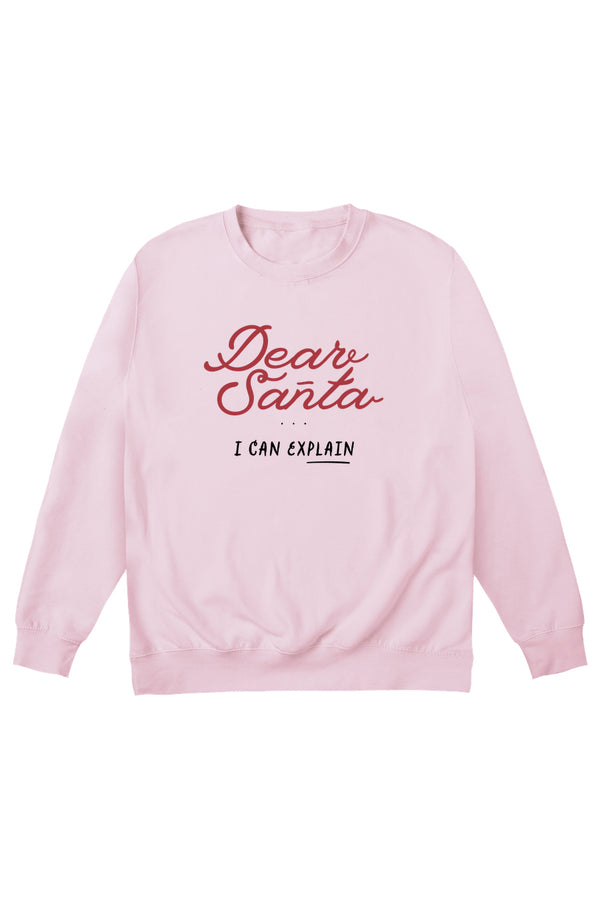 little mistress Dear Santa Jumper