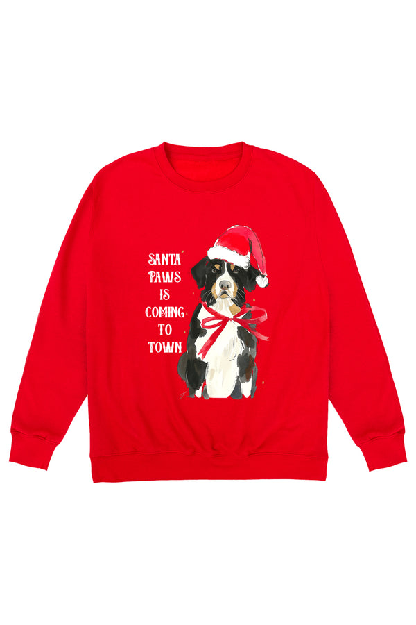 Little Mistress Santa Paws Jumper