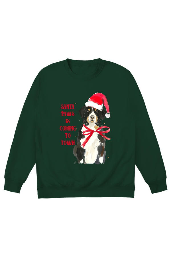 Little Mistress Santa Paws Jumper