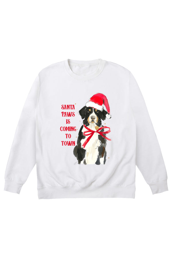 little mistress Santa Paws Jumper