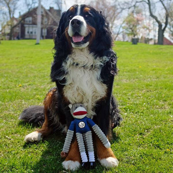Littlearth Brigham Young University Team Sock Monkey Pet Toy