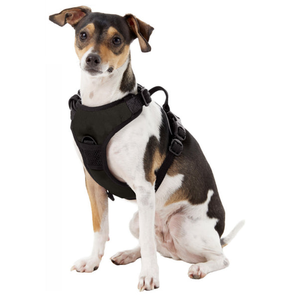 Littlearth Clemson University Front Clip Pet Harness