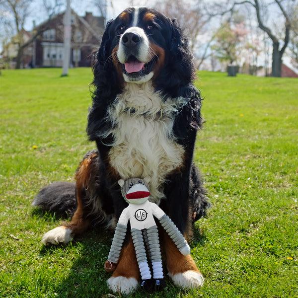 Littlearth Cleveland Browns Team Sock Monkey Pet Toy