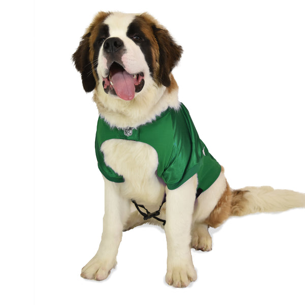 Littlearth Green Bay Packers Big Pet Stretch Jersey
