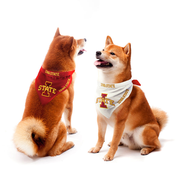 littlearth Iowa State University Home and Away Pet Bandana Set