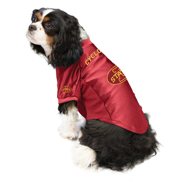 Littlearth Iowa State University Pet Stretch Jersey