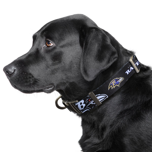 Littlearth Baltimore Ravens Premium Pet Collar