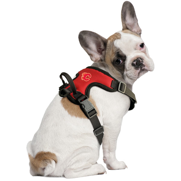 Littlearth Calgary Flames Front Clip Pet Harness