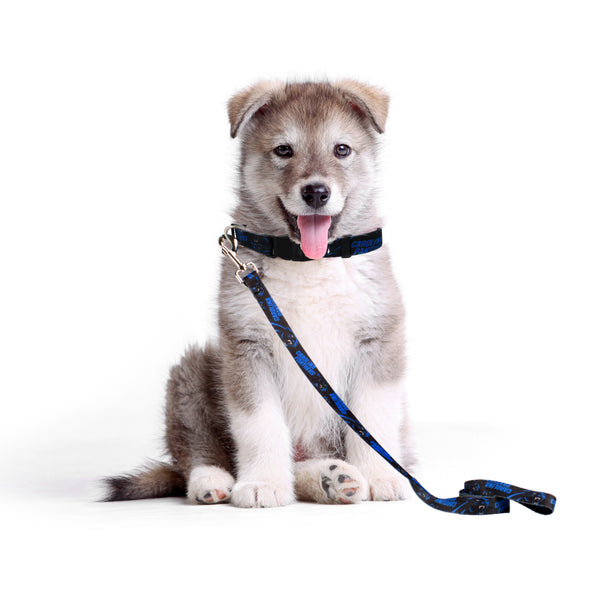Littlearth Carolina Panthers Pet Team Collar