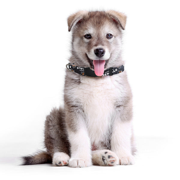 Littlearth Cincinnati Bengals Pet Team Collar