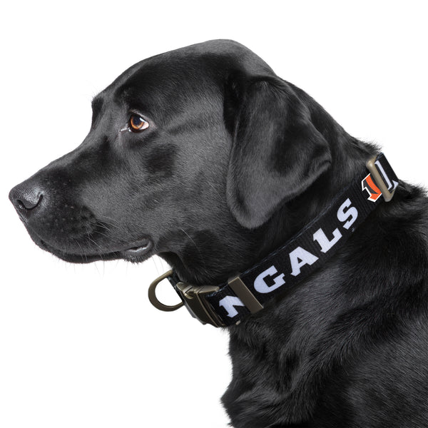 Littlearth Cincinnati Bengals Premium Pet Collar