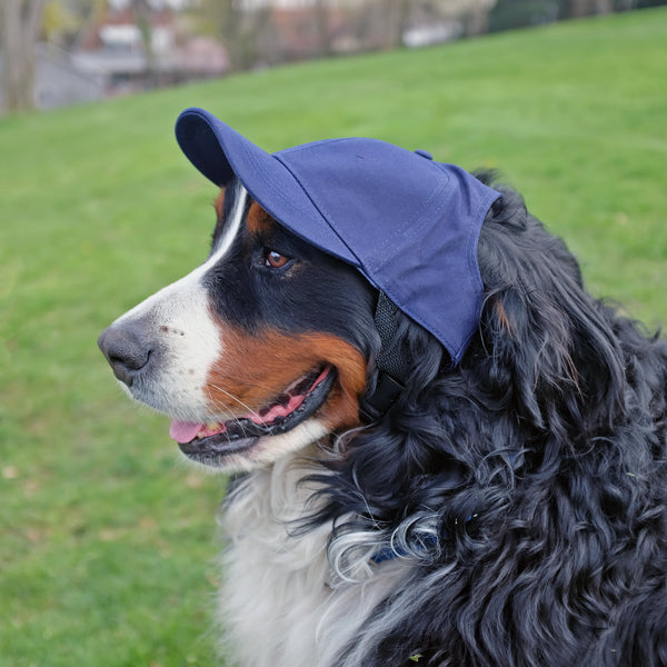 Littlearth Dallas Cowboys Pet Baseball Hat