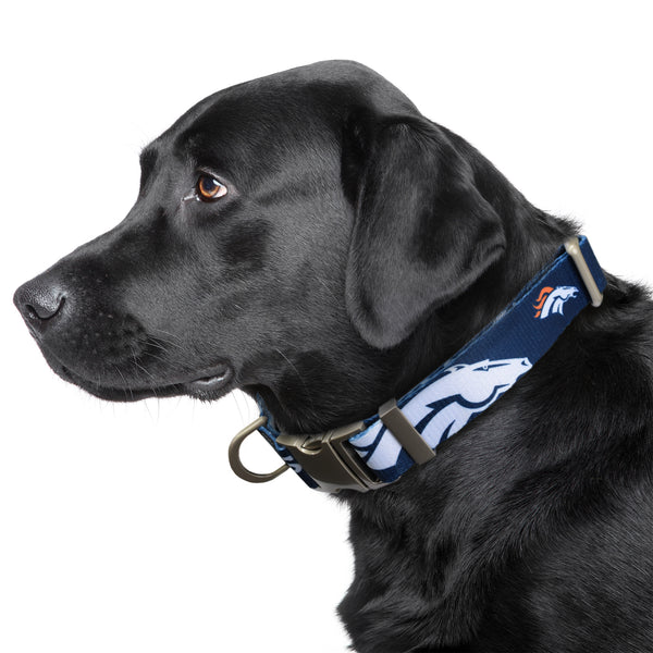 Littlearth Denver Broncos Premium Pet Collar