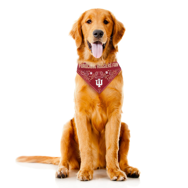 Littlearth Indiana University Pet Bandana