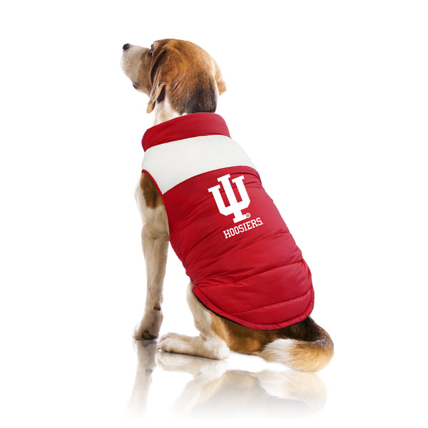 Littlearth Indiana University Pet Parka Puff Vest
