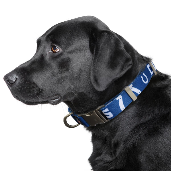 Littlearth Indianapolis Colts Premium Pet Collar