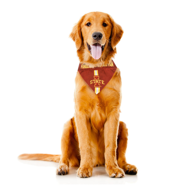 Littlearth Iowa State University Pet Bandana