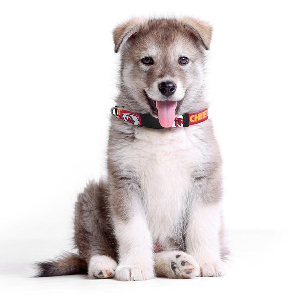 Littlearth Kansas City Chiefs Pet Team Collar