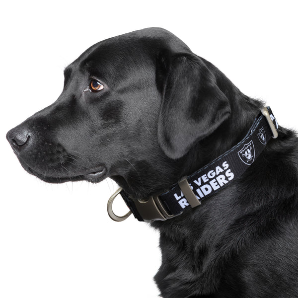 Littlearth Las Vegas Raiders Premium Pet Collar