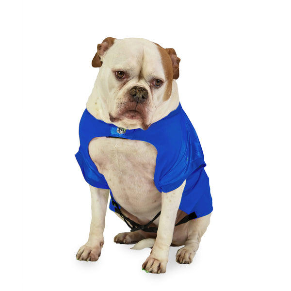 Littlearth Los Angeles Rams Big Pet Stretch Jersey