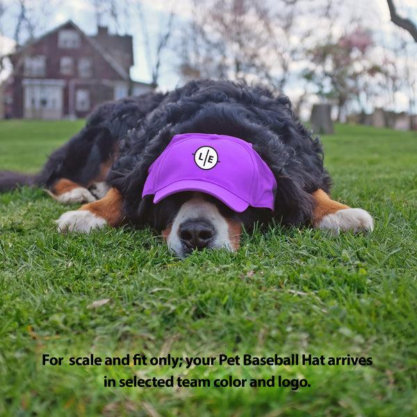 Littlearth Minnesota Vikings Pet Baseball Hat